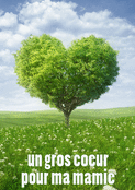 Un arbre en coeur pour ma mamie ch&eacute;rie